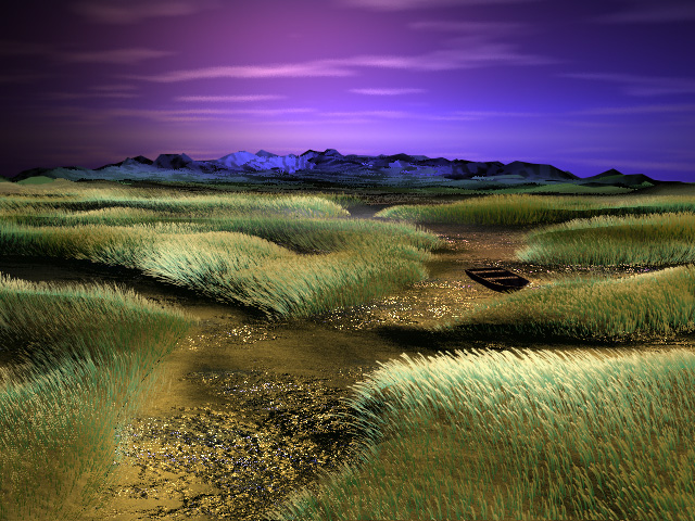 3D: Marsh Views